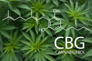 What is CBG?