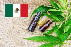 Legalization of Cannabis in Mexico Will Bring Big Opportunities for Some U.S. Hemp Businesses, Heartbreak to Others