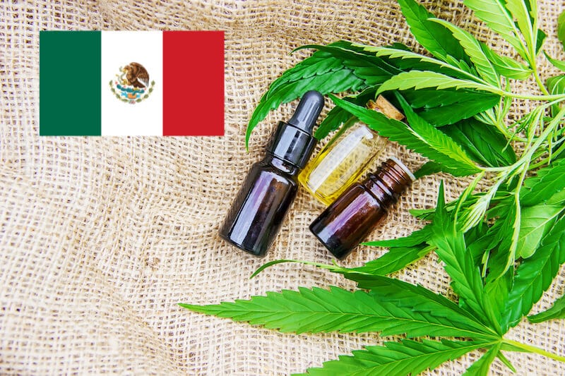 Legalization of Cannabis in Mexico Will Bring Big Opportunities for Some U.S. Hemp Businesses, Heartbreak to Others