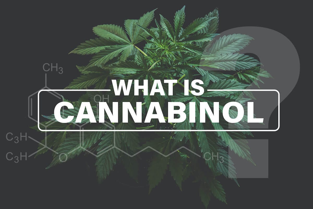 What is CBN: A Beginners Guide to Cannabinol