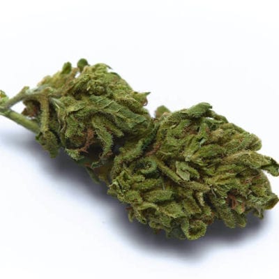 House Greenhouse Hemp CBD Flower Buds – All Sizes Available