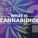 What is CBD?